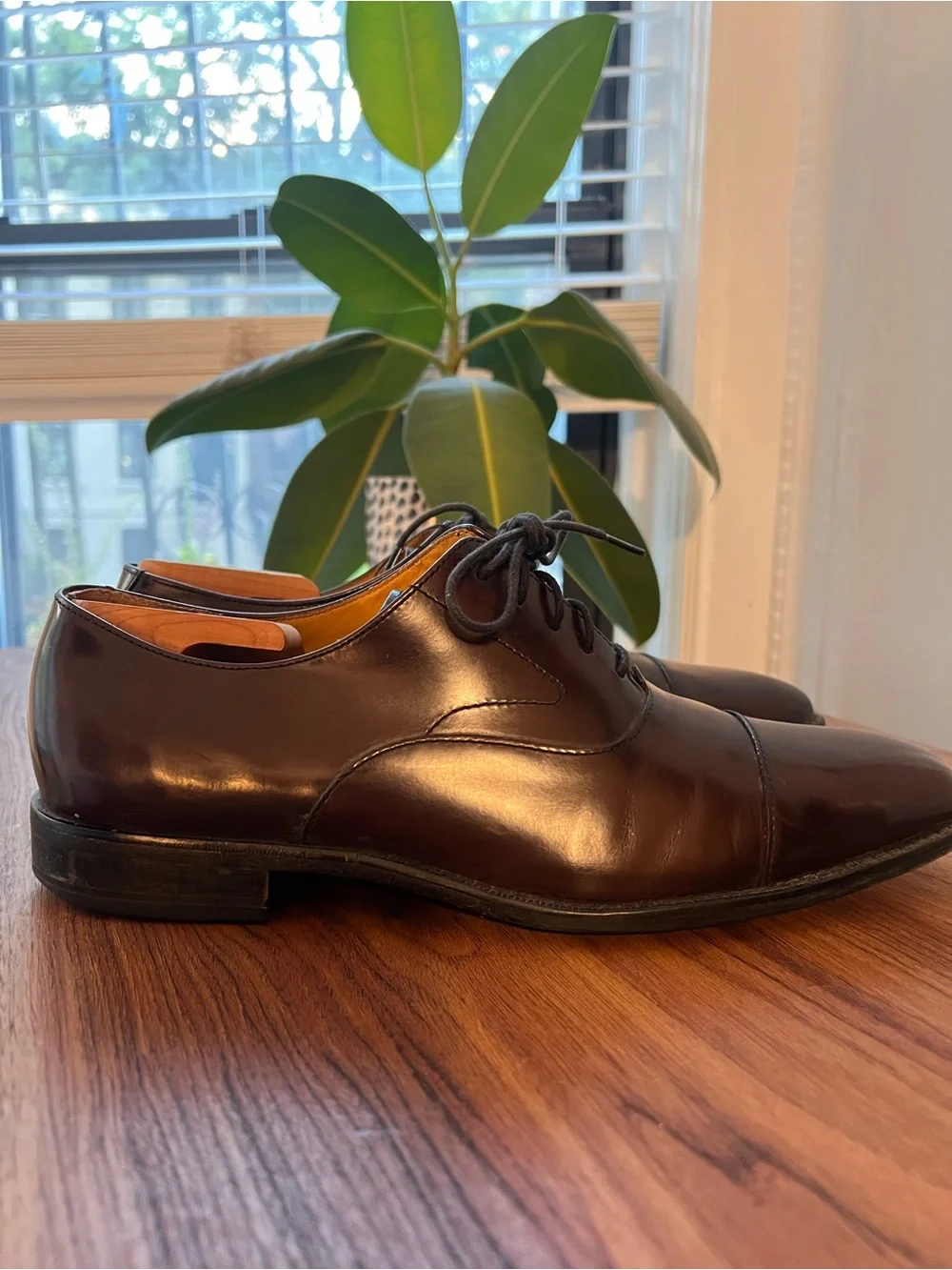 Cole Haan elegant brown
